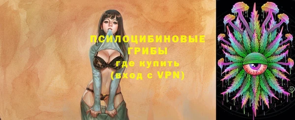 хмурый Абинск